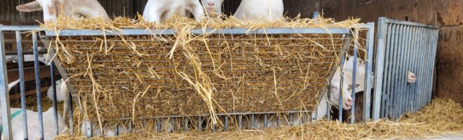 De open schuur